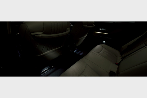 crown_grade_img49