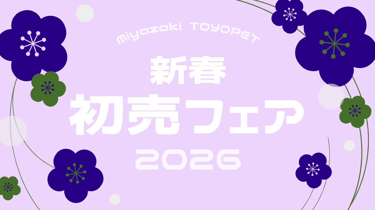 新春初売りフェアー | 宮崎トヨペット株式会社 【公式WEBサイト】